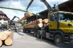 Anlieferung Rundholz